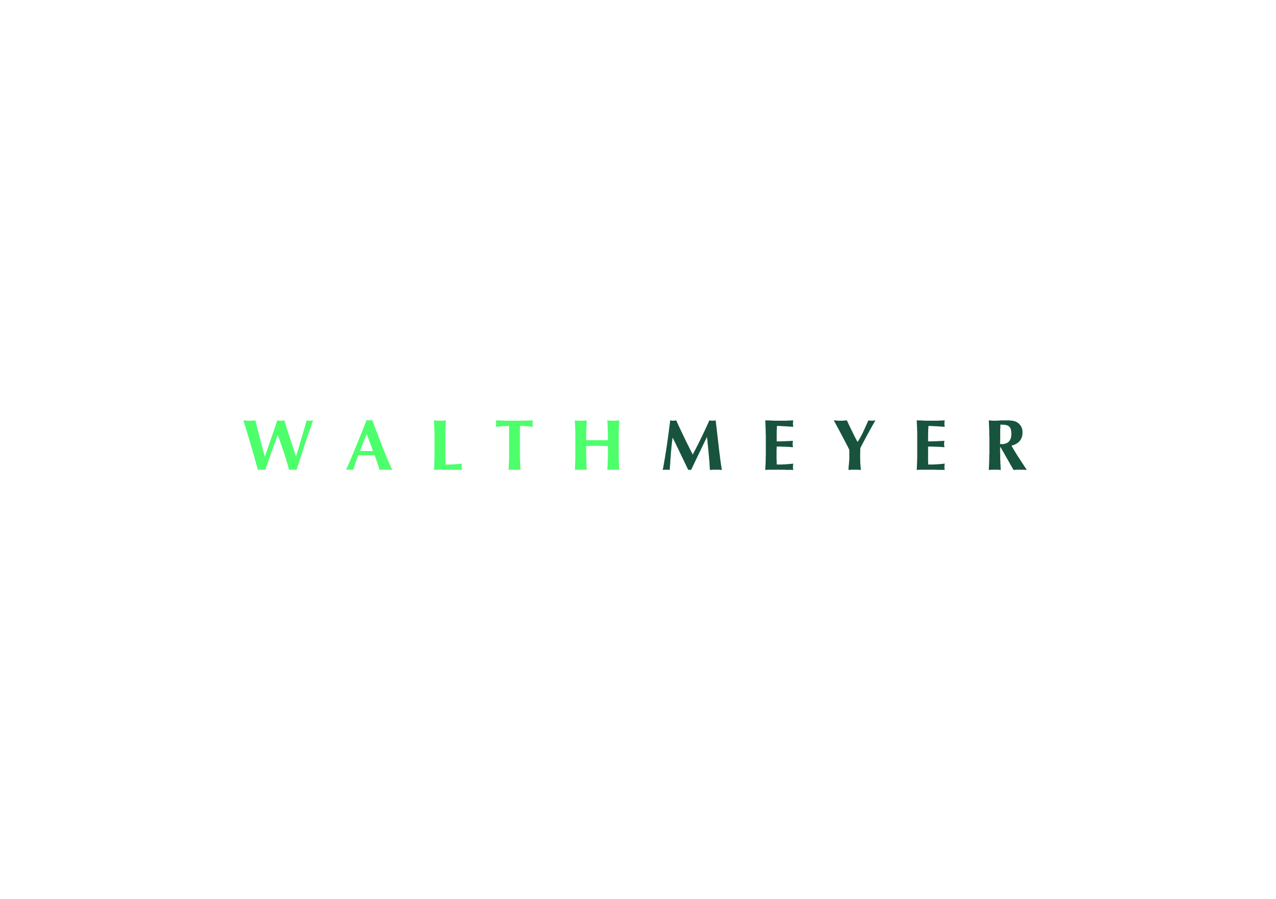 Walthmeyer-Logo-a1